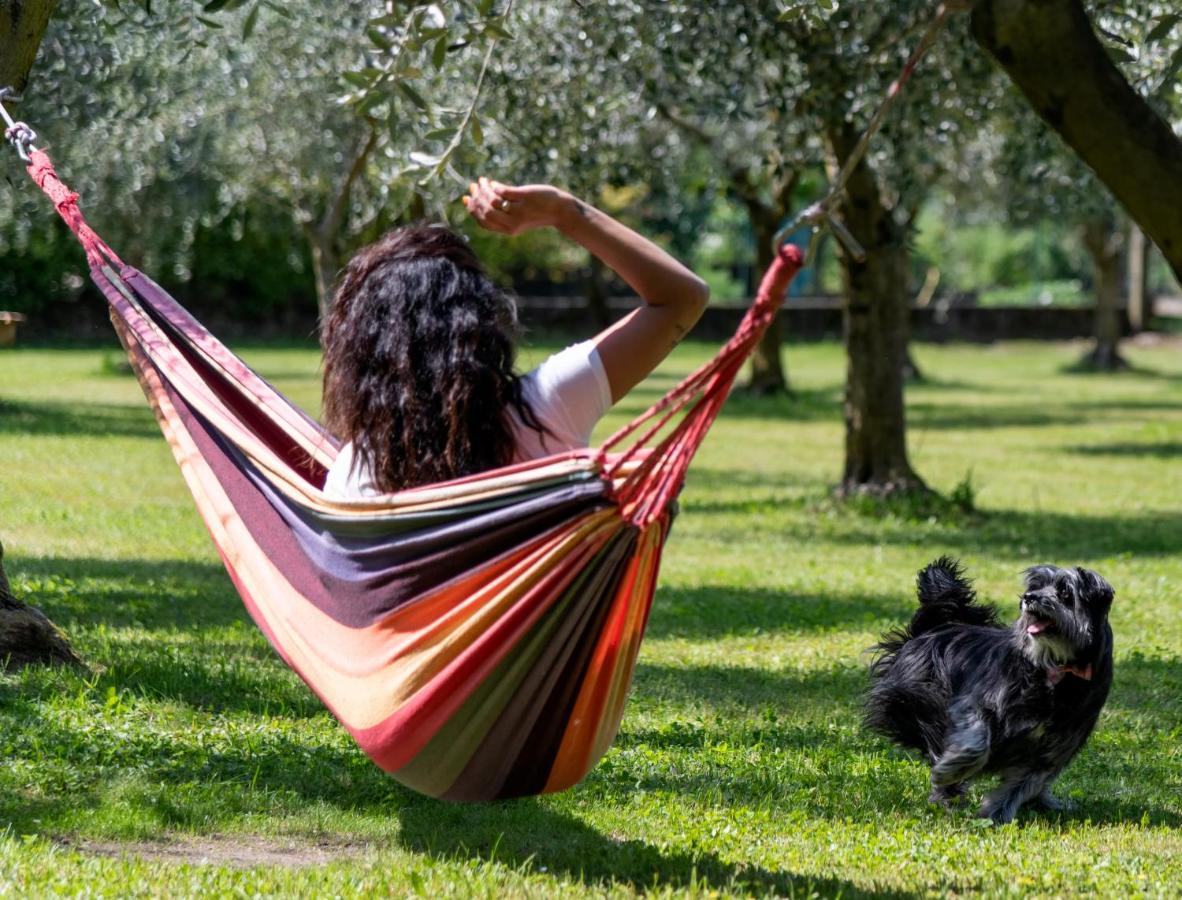 גראבדונה Agriturismo Ca Del Lago מראה חיצוני תמונה